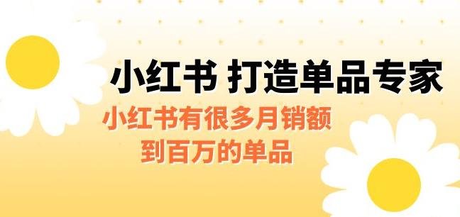 某公众号付费文章《小红书打造单品专家》小红书有很多月销额到百万的单品(小红书的百万单品策略如何快速切入并保持高利润) 某公众号付费文章《小红书打造单品专家》小红书有很多月销额到百万的单品(小红书的百万单品策略如何快速切入并保持高利润)
