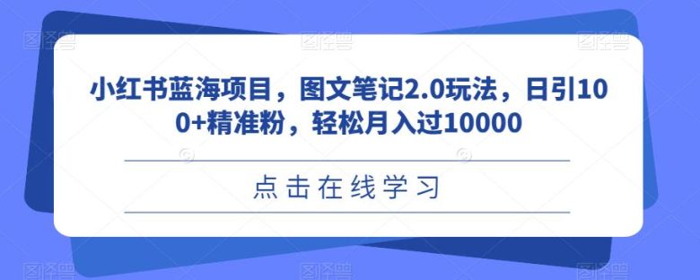 小红书蓝海项目,图文笔记2.0玩法,日引100+精准粉,轻松月入过10000【揭秘】(揭秘小红书蓝海项目图文笔记2.0玩法,日引100+精准粉,轻松月入过10000)