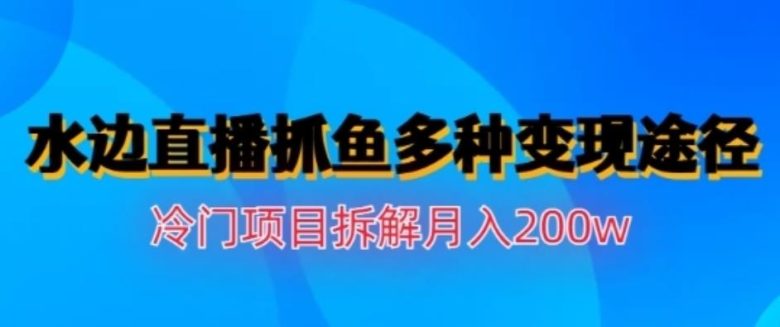 水边直播抓鱼，多种变现途径冷门项目，月入200w拆解【揭秘】(揭秘“水边直播抓鱼”冷门项目如何月入200万)