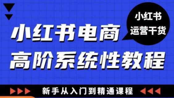 小红书电商高阶系统教程，新手从入门到精通系统课(小红书电商高阶系统教程从入门到精通的实战指南)