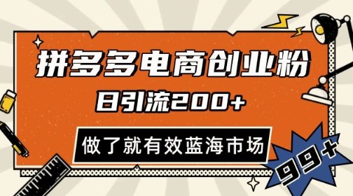 拼多多引流电商创业粉,日引200+,可矩阵放大,做了就有效