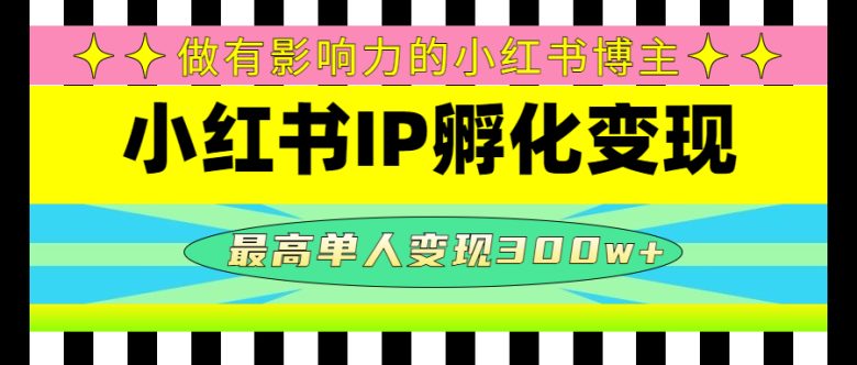某收费培训-小红书IP孵化变现:做有影响力的小红书博主,最高单人变现300w+(小红书IP孵化变现培训课程提升影响力,实现高额变现)