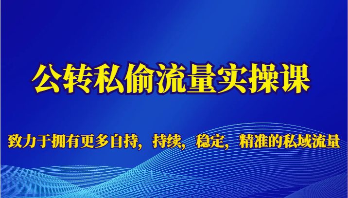 公转私偷流量实操课打造自持、持续、稳定、精准的私域流量)