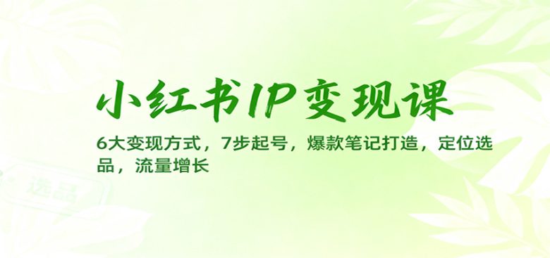 小红书IP变现课:6大变现方式,7步起号,爆款笔记打造,定位选品,流量增长