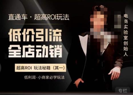 电商冰可乐·直通车·《低价引流·全店动销》,直通车·超高ROI玩法(其一)全店动销必学玩法(探索电商冰可乐·直通车的《低价引流·全店动销》课程,学习直通车超高ROI玩法,实现全店动销。)