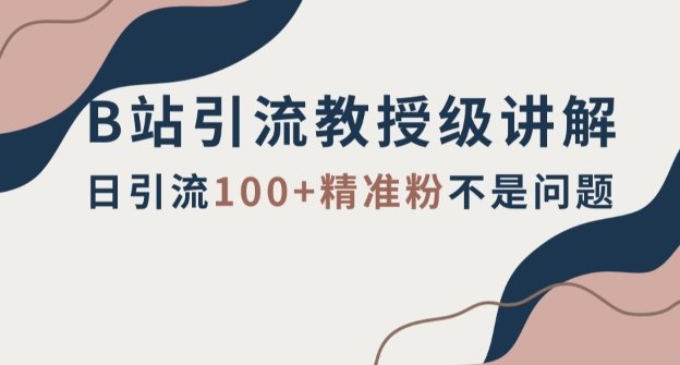 B站引流教授级讲解，细节满满，日引流100+精准粉不是问题【揭秘】(揭秘B站引流教授级讲解，助你实现日引流100+精准粉的目标)