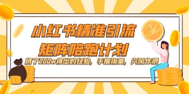 小红书精准引流·矩阵陪跑计划:烧了200w得出的经验,手握流量,兴风作浪!(小红书精准引流·矩阵陪跑计划从0到1玩转小红书引流)