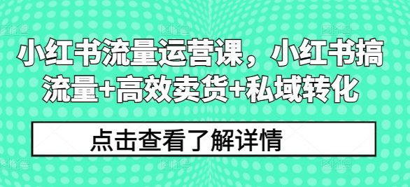 小红书流量运营课,小红书搞流量+高效卖货+私域转化