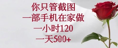 你只管截图,一部手机在家可以做,一小时120.一天5张+