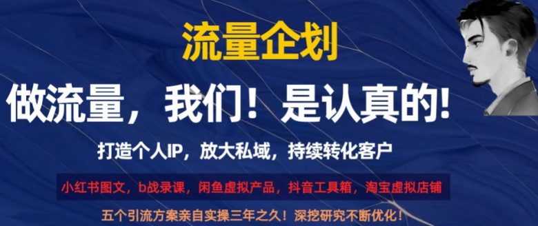 流量企划，打造个人IP，放大私域，持续转化客户【揭秘】(揭秘五大引流策略，助你提升互联网认知)