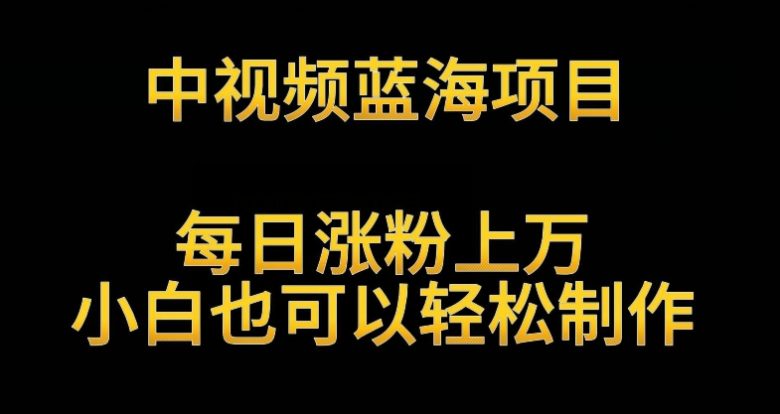 中视频蓝海项目,解读英雄人物生平,每日涨粉上万,小白也可以轻松制作,月入过万不是梦 中视频蓝海项目,解读英雄人物生平,每日涨粉上万,小白也可以轻松制作,月入过万不是梦