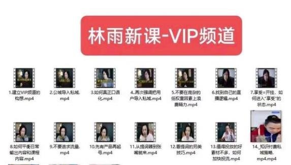 林雨新课VIP频道,玩赚私域/朋友圈/社群(探索林雨新课VIP频道玩转私域、朋友圈和社群的全面指南) 林雨新课VIP频道,玩赚私域/朋友圈/社群(探索林雨新课VIP频道玩转私域、朋友圈和社群的全面指南)