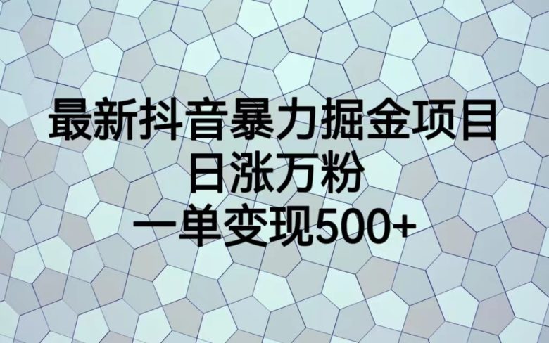 最火热的抖音暴力掘金项目，日涨万粉，多种变现方式，一单变现可达500+(探索抖音暴力掘金项目日涨万粉与多种变现方式)
