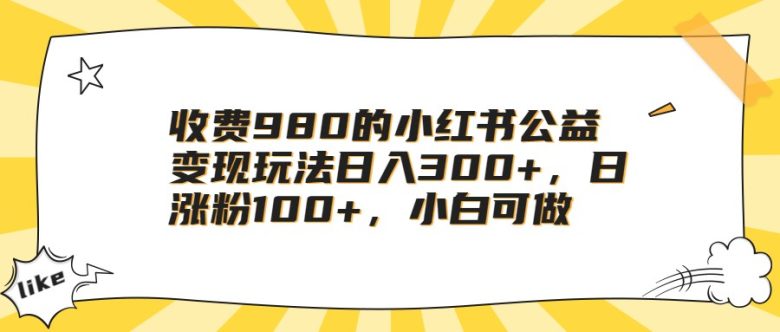 收费980的小红书公益变现玩法日入300+，日涨粉100+，小白可做(小红书公益绘本引流变现小白也能轻松赚钱的方法)