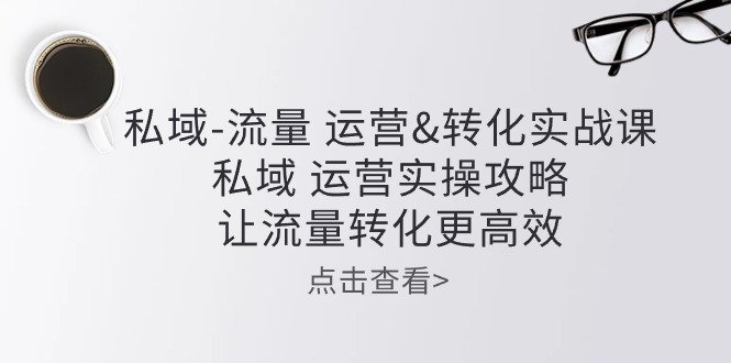 私域-流量 运营&amp;转化实操课：私域 运营实操攻略 让流量转化更高效