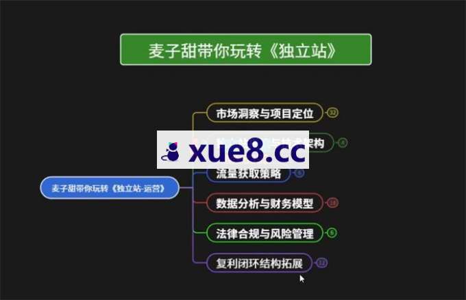 麦子甜《带你玩转独立站运营》