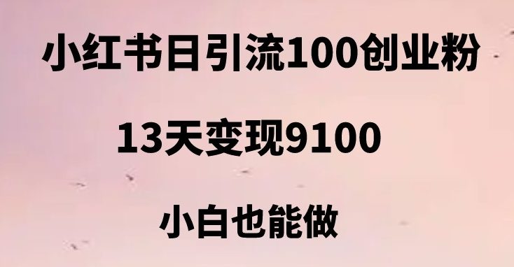 小红书日引流100+创业粉，13天变现9100，创业首选引流平台(小红书创业粉引流13天变现9100，小白也能做)