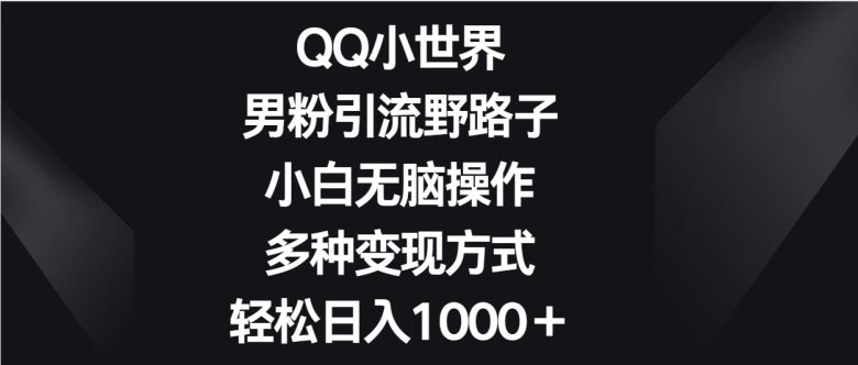 QQ小世界男粉引流野路子,小白无脑操作,多种变现方式轻松日入1000+
