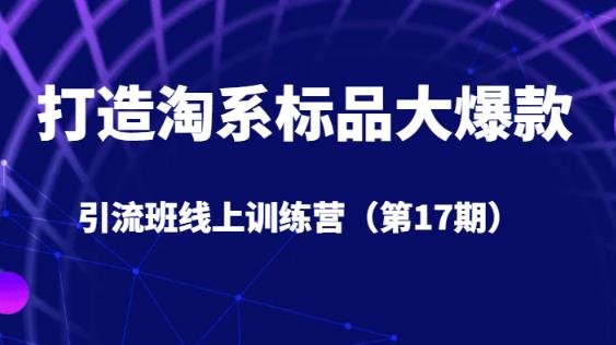 5天直播授课(深度解析淘系产品销售策略打造大爆款引流班线上训练营)