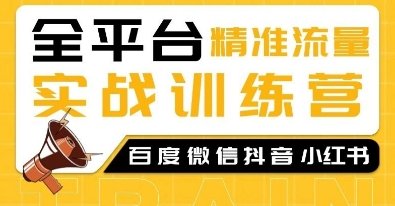 全平台精准流量实战训练营,百度微信抖音小红书SEO引流教程