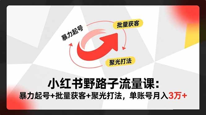 小红书野路子流量课:暴力起号+批量获客+聚光打法,单账号月入3万+