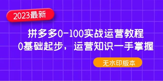 2023拼多多0-100实战运营教程,0基础起步,运营知识一手掌握(无水印)(全面解析拼多多运营实战技巧,助力零基础商家快速上手) 2023拼多多0-100实战运营教程,0基础起步,运营知识一手掌握(无水印)(全面解析拼多多运营实战技巧,助力零基础商家快速上手)