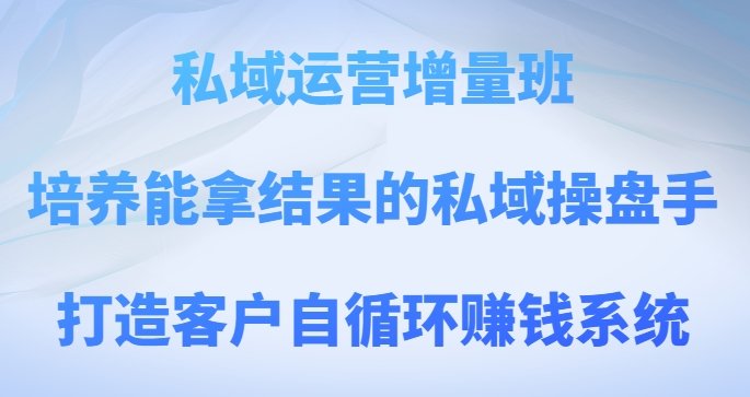 私域运营增量班，培养能拿结果的私域操盘手，打造客户自循环赚钱系统(掌握私域运营之道，助力企业发展)