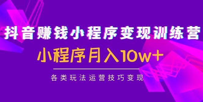抖音赚钱小程序变现训练营:小程序月入10w+各类玩法运营技巧变现(全面解析抖音小程序变现技巧,助你实现月入10w+) 抖音赚钱小程序变现训练营:小程序月入10w+各类玩法运营技巧变现(全面解析抖音小程序变现技巧,助你实现月入10w+)