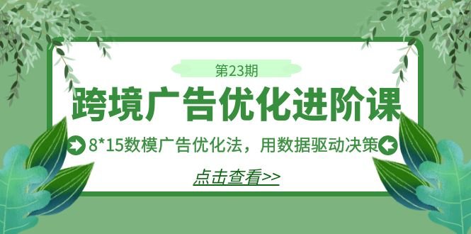 跨境广告·优化进阶课·第23期，8*15数模广告优化法，用数据驱动决策(探索跨境广告优化的新方法8*15数模广告优化法)