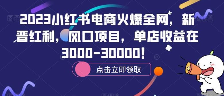 2023小红书电商火爆全网，新晋红利，风口项目，单店收益在3000-30000！(探索小红书电商新晋红利与风口项目解析)