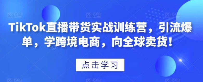 TikTok直播带货实战训练营,引流爆单,学跨境电商,向全球卖货!(全面解析TikTok直播带货实战技巧与策略) TikTok直播带货实战训练营,引流爆单,学跨境电商,向全球卖货!(全面解析TikTok直播带货实战技巧与策略)