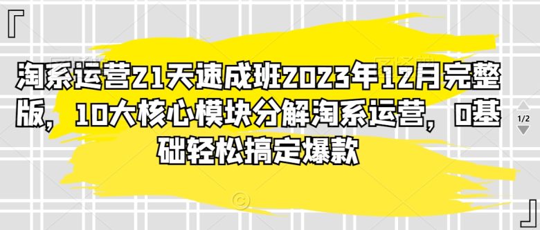 淘系运营21天速成班2023年12月完整版,10大核心模块分解淘系运营,0基础轻松搞定爆款 淘系运营21天速成班2023年12月完整版,10大核心模块分解淘系运营,0基础轻松搞定爆款