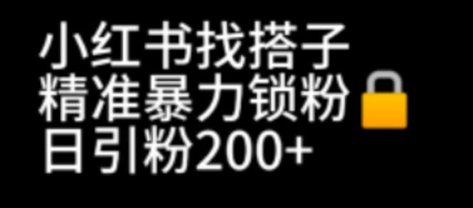 小红书找搭子暴力精准锁粉+引流日引200+精准粉(小红书新功能助力精准引流,一部手机日引200+粉丝)