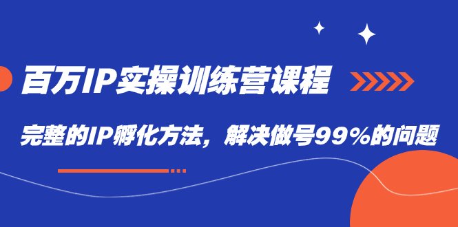 百万IP实战训练营课程,完整的IP孵化方法,解决做号99%的问题(百万IP实战训练营打造成功商业IP的全面指南) 百万IP实战训练营课程,完整的IP孵化方法,解决做号99%的问题(百万IP实战训练营打造成功商业IP的全面指南)