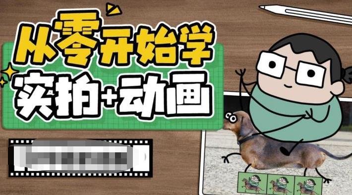从零开始学实拍加动画，实拍加动画创意教程(全面掌握实拍加动画技术，打造生动有趣的视频作品)