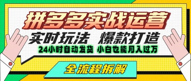拼多多最新实战运营高投产:长久稳定项目,单店利润一天三位数