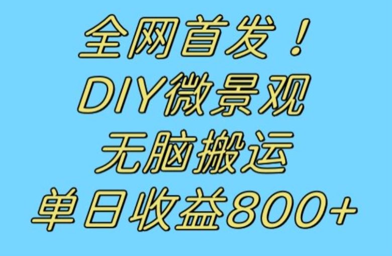 全网首发冷门赛道！DIY微景观，无脑搬运视频，日收益800+【揭秘】(“探索冷门赛道DIY微景观制作与销售的全新创业机会”)