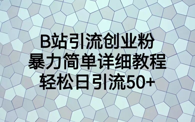 B站引流创业粉，暴力简单详细教程，轻松日引流50+(“详解B站创业粉引流从项目介绍到实操操作”)