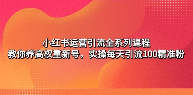 小红书运营引流全系列课程：教你养高权重新号，实操每天引流100精准粉(掌握小红书运营技巧，实现高效引流与粉丝增长)