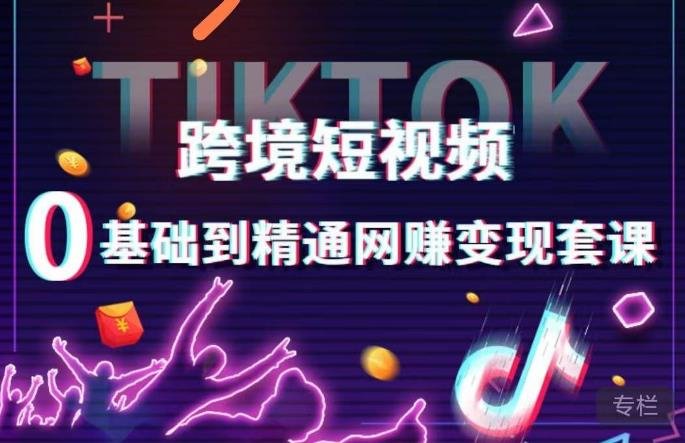 跨境短视频TIKTOK 0基础到精通网赚变现套课，跨境短视频独立站带货变现技巧(全面掌握TikTok网赚变现技巧，实现跨境短视频独立站带货变现)