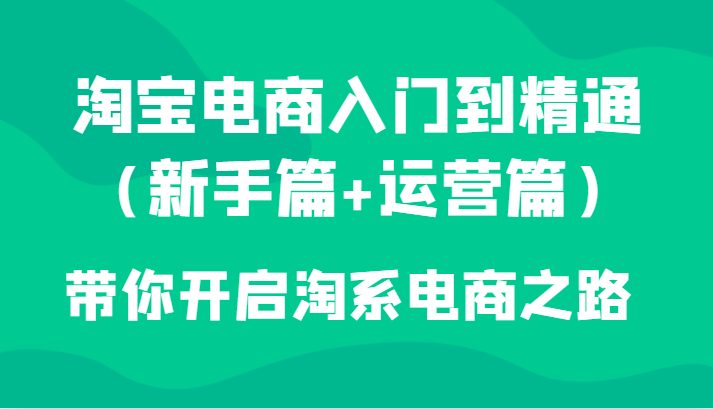 淘宝电商入门到精通（新手篇+运营篇）带你开启淘系电商之路(“全面解析淘宝电商运营之道新手篇与运营进阶篇一站式学习”)