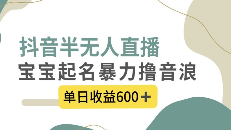抖音半无人直播，宝宝起名，暴力撸音浪，单日收益600+(探索抖音半无人直播新途径宝宝起名与暴力撸音浪)
