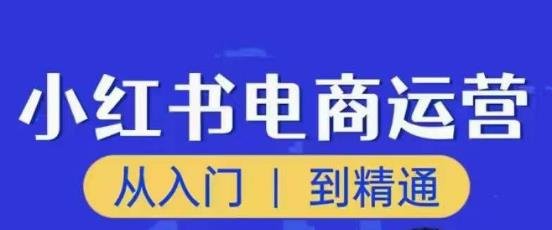 顽石小红书电商高阶运营课程，从入门到精通，玩法流程持续更新(顽石小红书电商高阶运营课程打造全面技能，实现精通之路)
