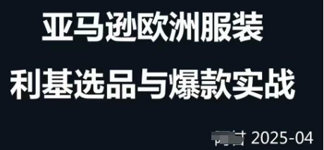 跨境电商选品案例24-25年,聚焦跨境电商选品策略与运营优化,助力卖家挖掘蓝海市场