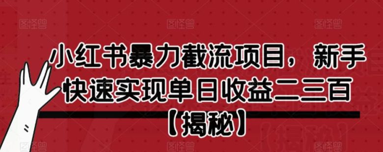 小红书暴力截流项目，新手快速实现单日收益二三百【仅揭秘】(揭秘小红书暴力截流项目新手如何快速实现单日收益二三百)