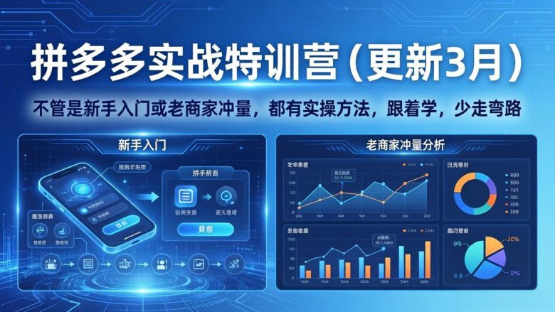 拼多多实战特训营(更新3月)：不管是新手入门或老商家冲量，都有实操方法，跟着学，少走弯路