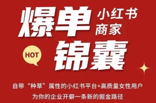 无畏·小红书商家爆单锦囊，掌握小红书各大规则，快速精准抢占行业和市场(“小红书商家爆单锦囊全面掌握运营策略，精准抢占市场”)