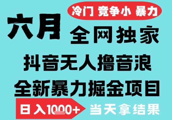 2025年6月高爆抖音无人直播最新撸音浪掘金项目,无脑日入1k+,低门槛小白可做,可矩阵放大