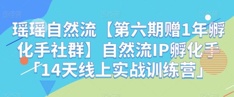 瑶瑶自然流【第六期赠1年孵化手社群】自然流IP孵化手「14天线上实战训练营」(实战经验分享,助力短视频创作之路。) 瑶瑶自然流【第六期赠1年孵化手社群】自然流IP孵化手「14天线上实战训练营」(实战经验分享,助力短视频创作之路。)