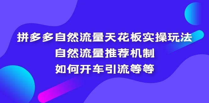 拼多多自然流量天花板实操玩法:自然流量推荐机制,如何开车引流等等(深度解析拼多多自然流量实操策略及引流技巧) 拼多多自然流量天花板实操玩法:自然流量推荐机制,如何开车引流等等(深度解析拼多多自然流量实操策略及引流技巧)